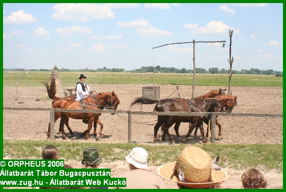tabor-2006-orpheus-bugac-082.jpg