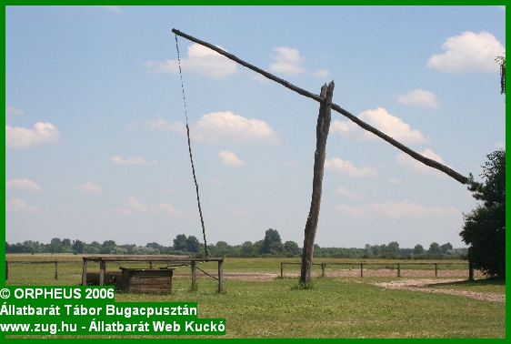 tabor-2006-orpheus-bugac-097.jpg