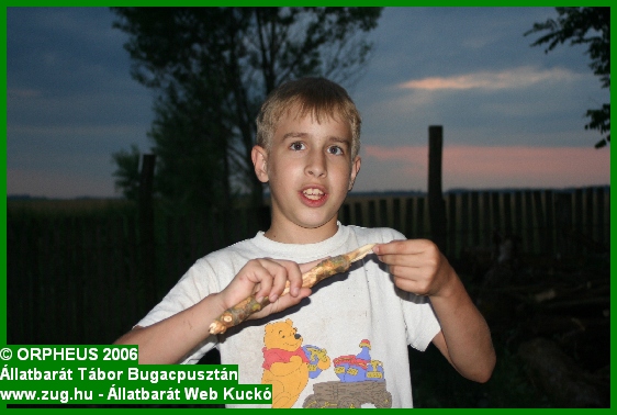 tabor-2006-orpheus-bugac-254.jpg