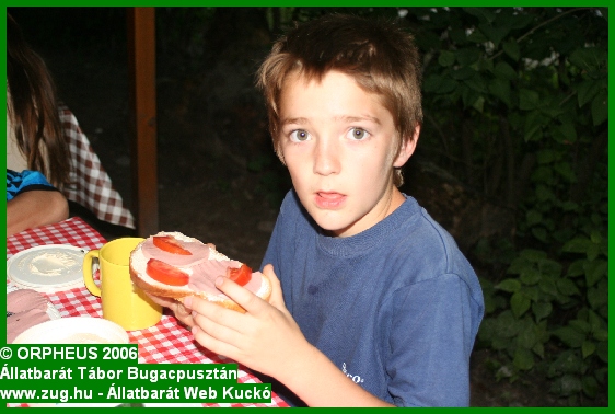 tabor-2006-orpheus-bugac-262.jpg