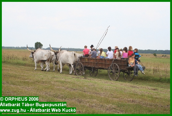 tabor-2006-orpheus-bugac-282.jpg