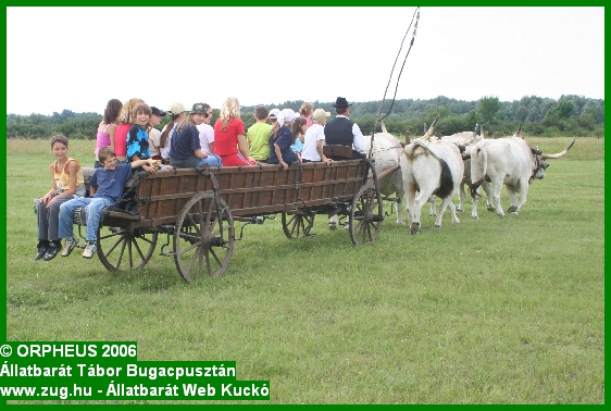 tabor-2006-orpheus-bugac-283.jpg