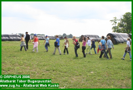tabor-2006-orpheus-bugac-329.jpg