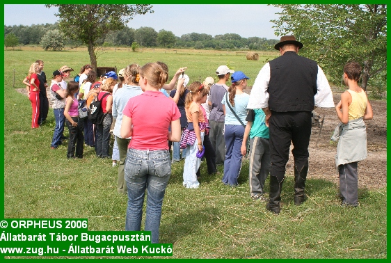 tabor-2006-orpheus-bugac-331.jpg