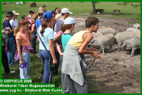 tabor-2006-orpheus-bugac-332.jpg