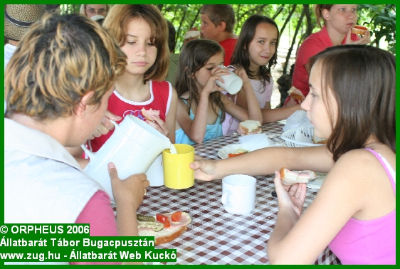 tabor-2006-orpheus-bugac-364.jpg